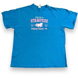 Dolly Partons Stampede Womens T Shirt Top Short Sleeve Pigeon Forge TN Blue Pink